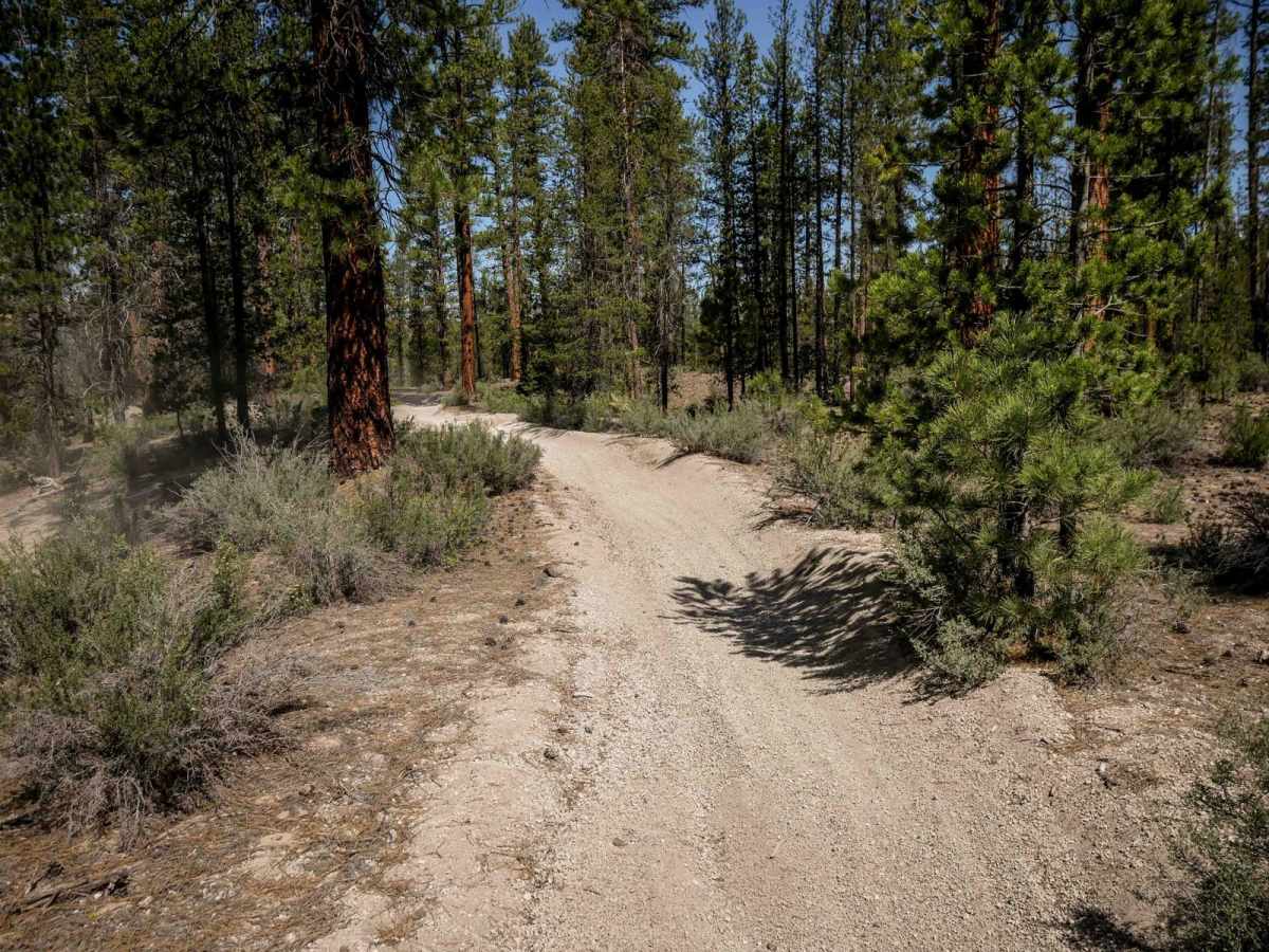 74 trail photo