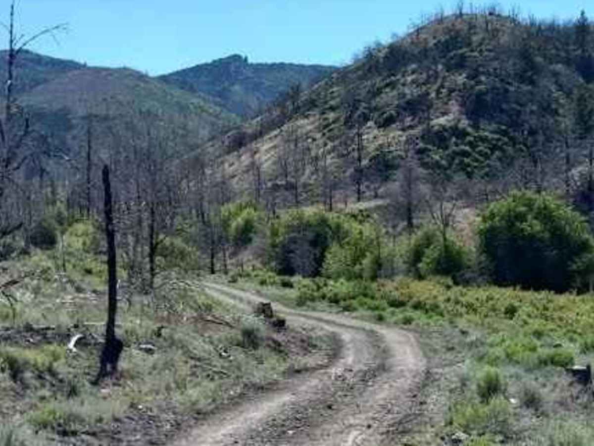 Sandy Caddy Creek Loop photo 2