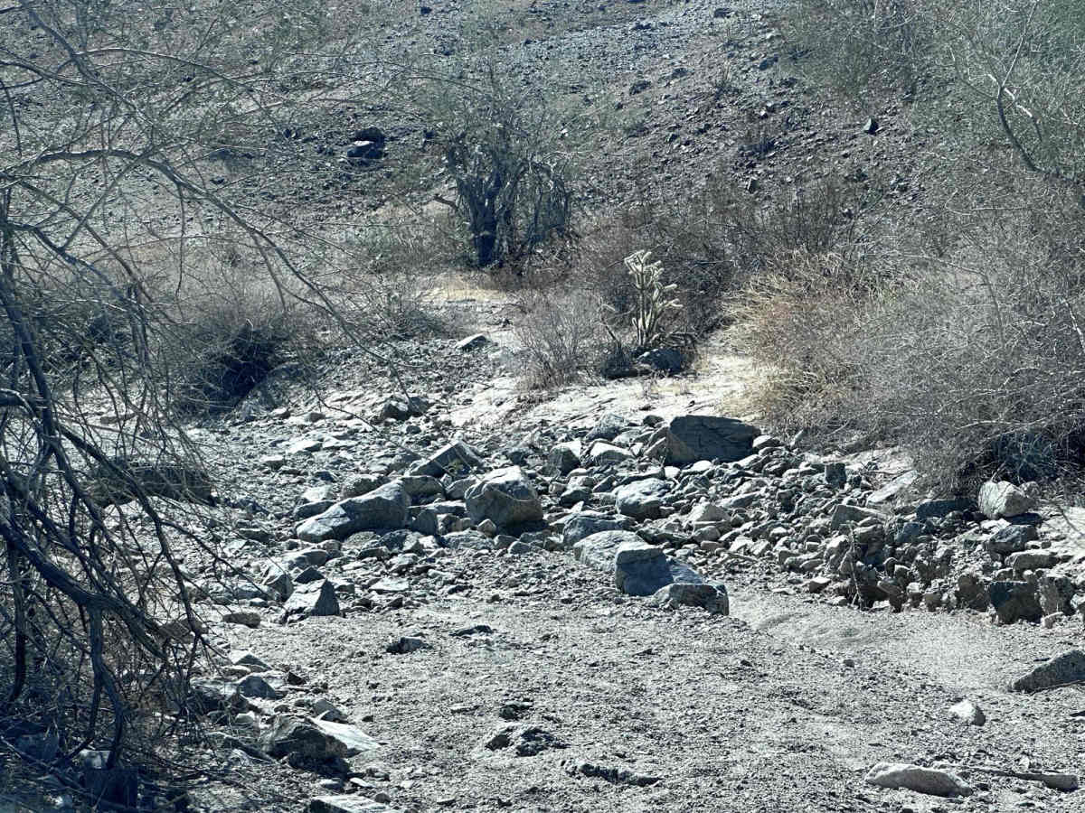 LCR1842 photo 3