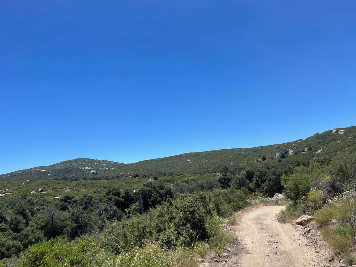 Corral Canyon Road trail photo