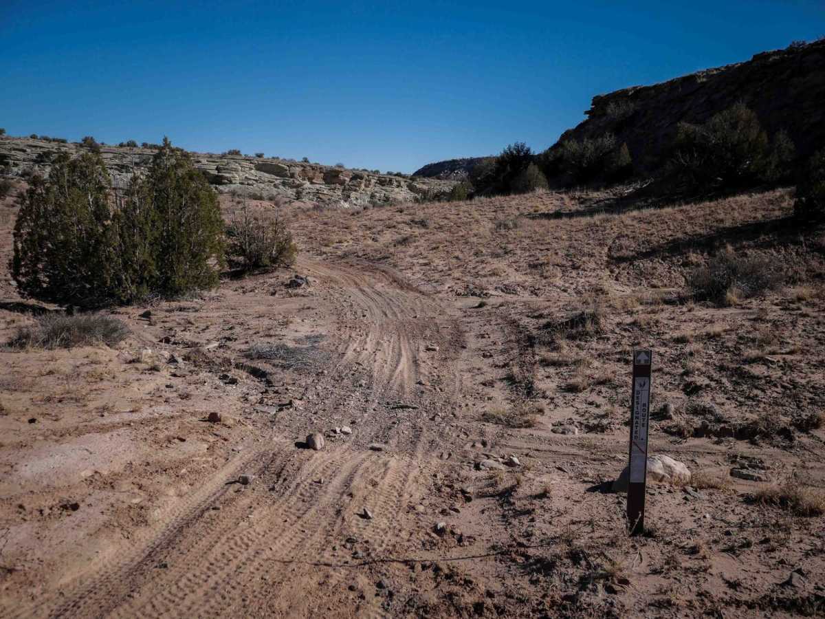 Summerville ATV photo 5