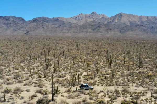 Calamajue Canyon Trail