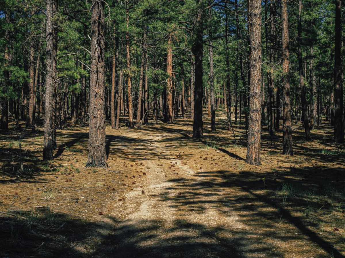 Hunter Hill Camp photo 5
