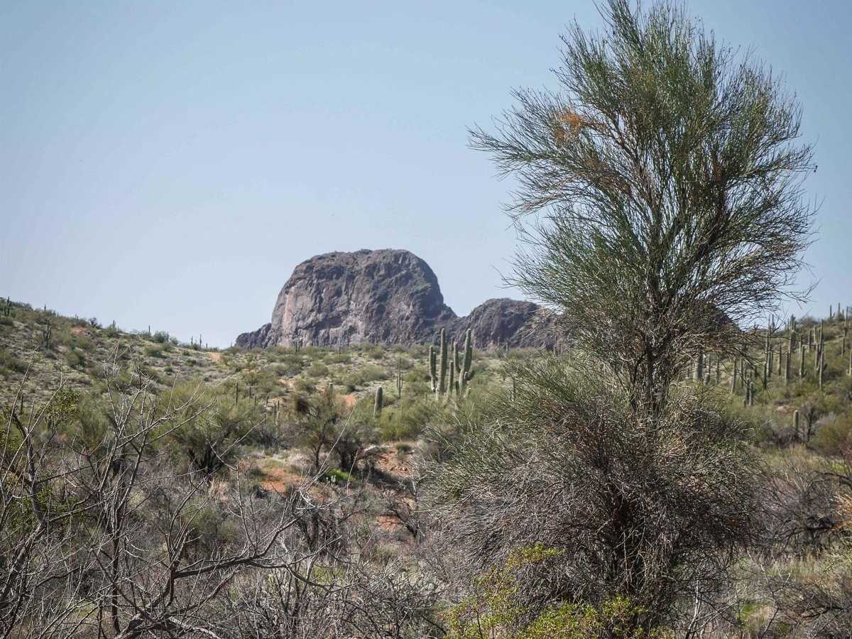 North Vulture Peak Road photo 3