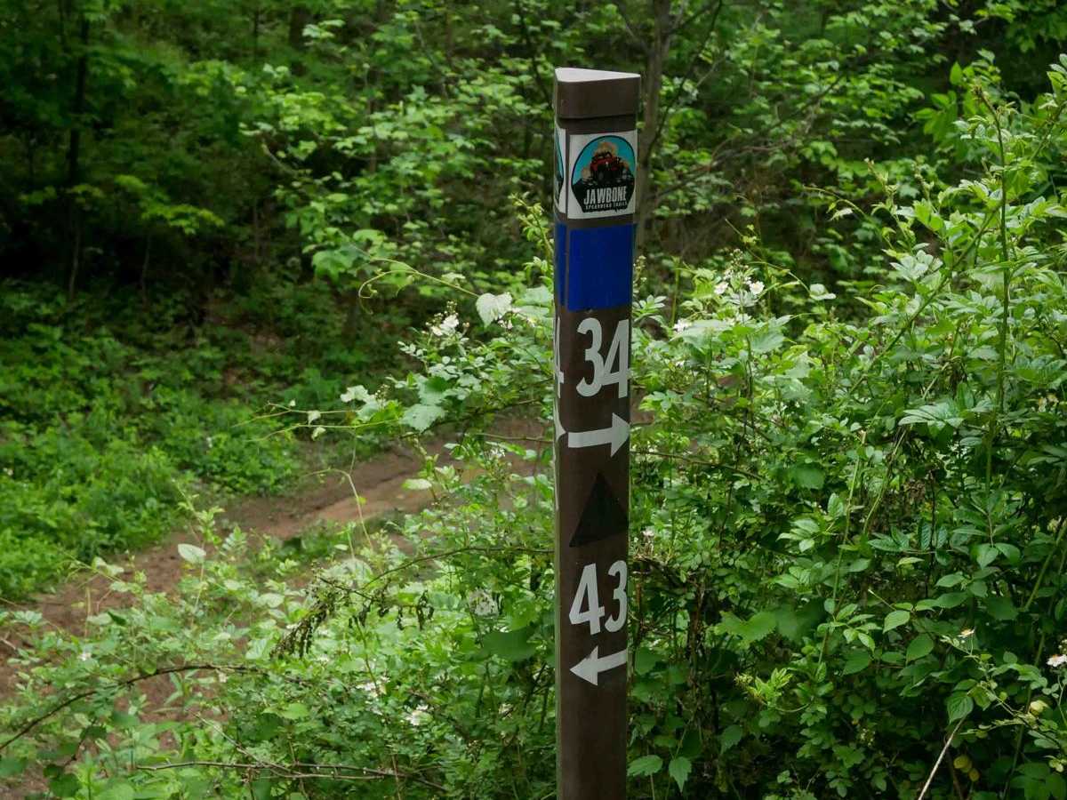 J43 photo 4