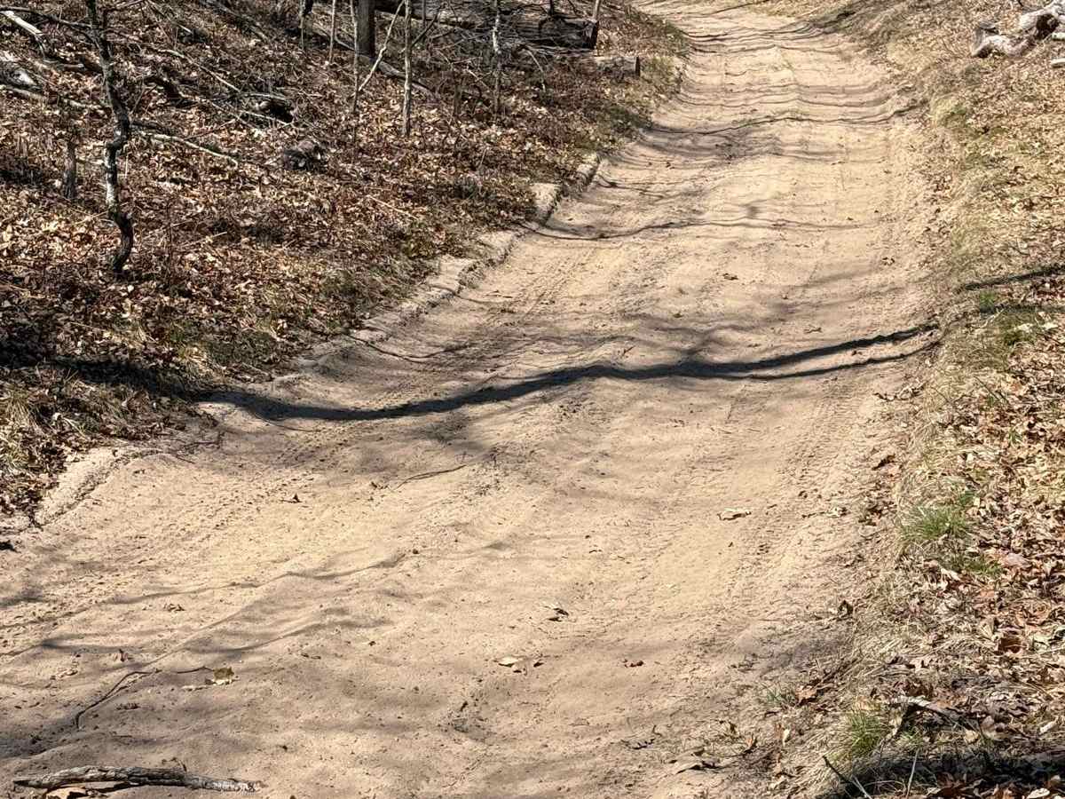 NFS 6273 trail photo