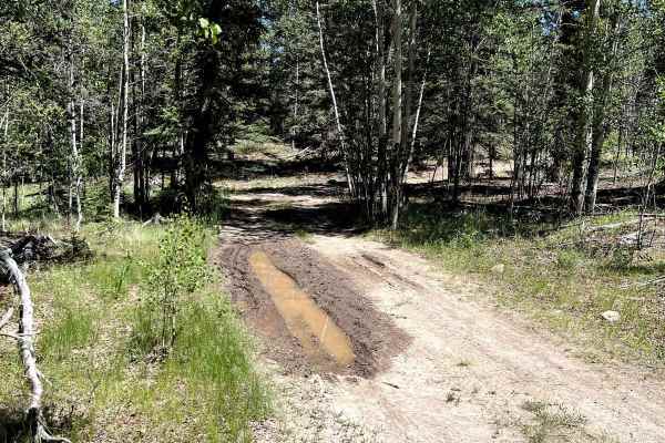 FR 556 - Clear Creek Ridge