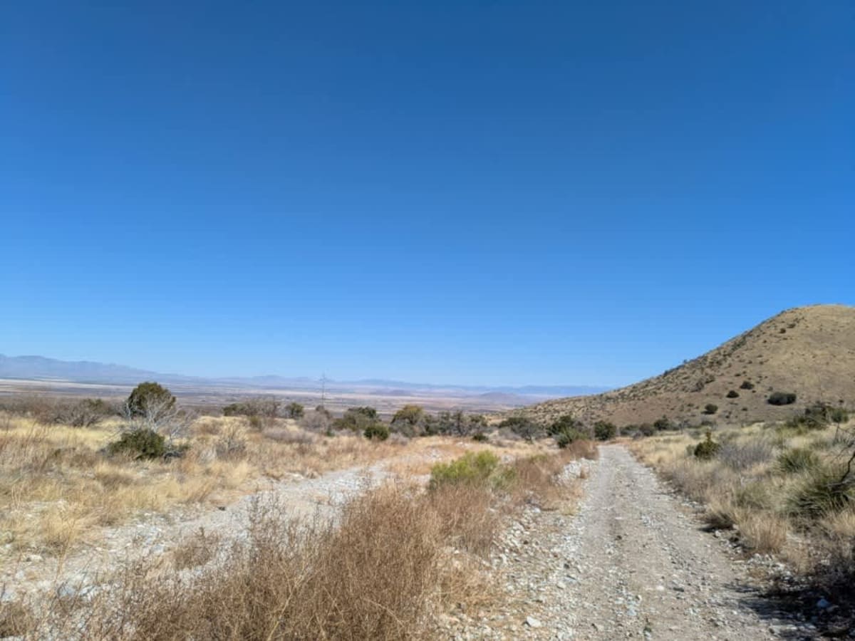 Blacktail Hill photo 5