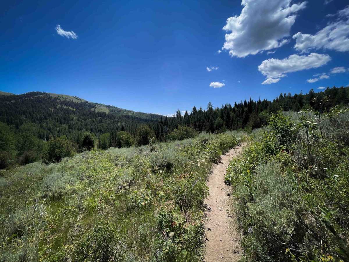 Squaw Creek trail photo