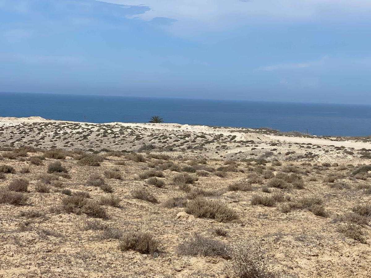 Campo Queen Coastal Route photo 4