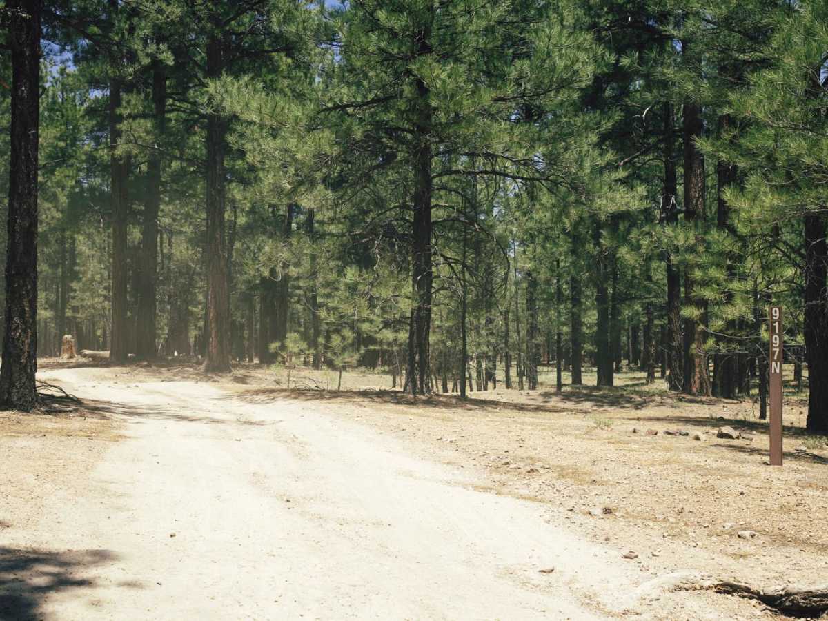 Pondo Ripper trail photo