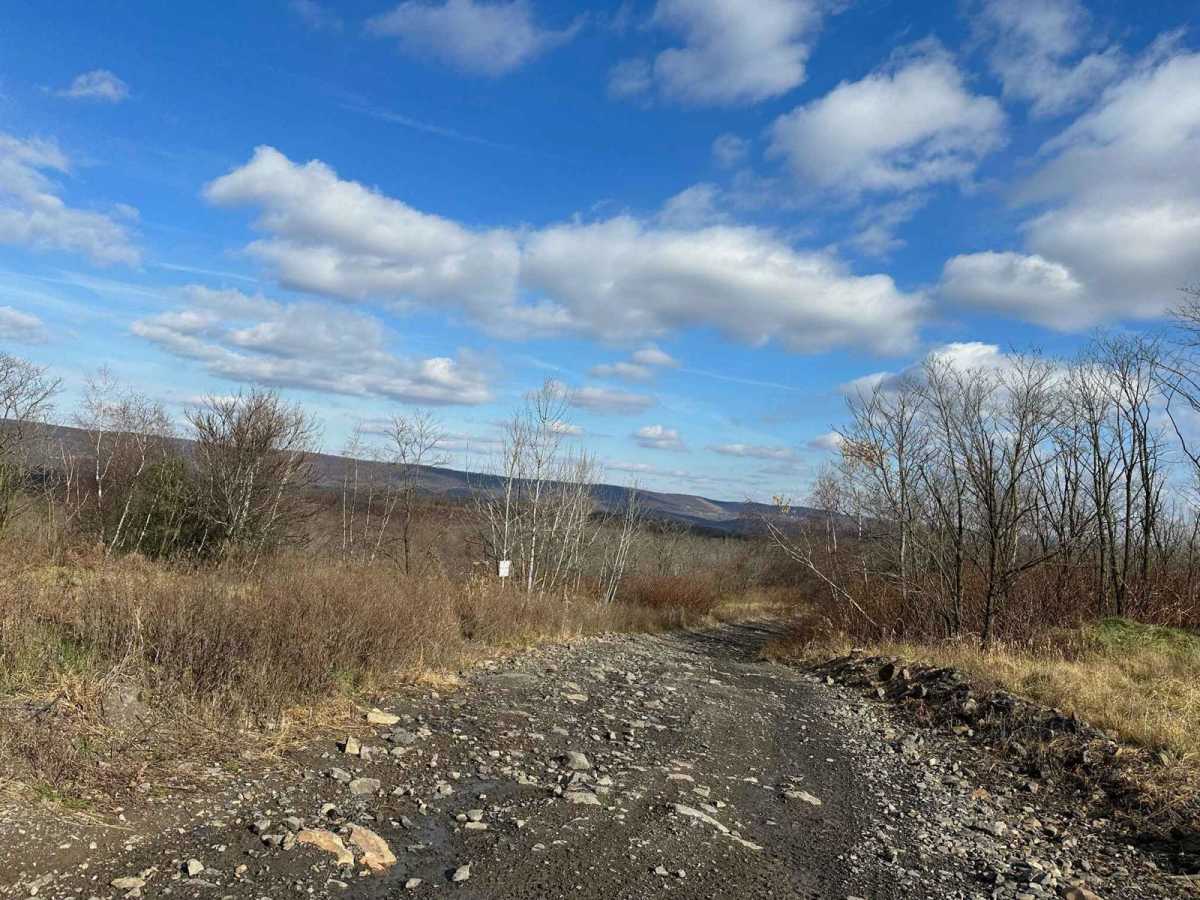 ATV Trail 1 trail photo