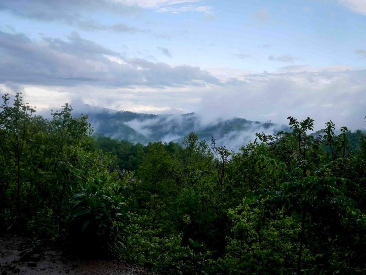 RH 15 trail photo