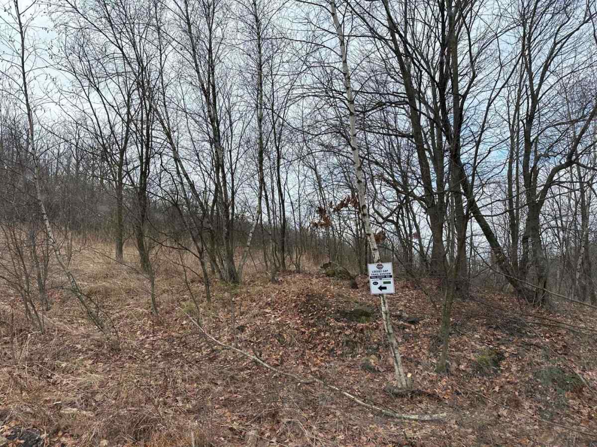 Locust Gap 63 photo 3