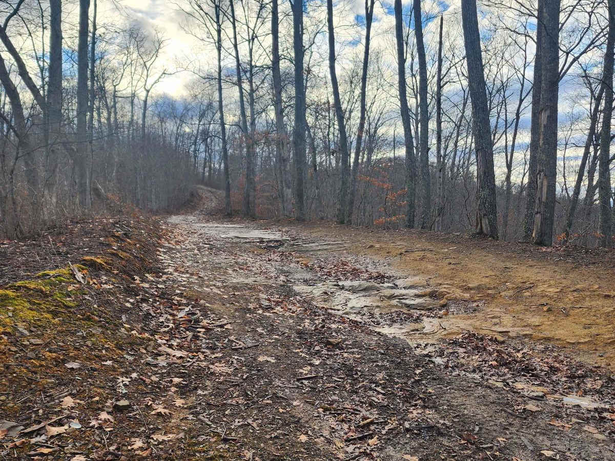 Emily Creek photo 2