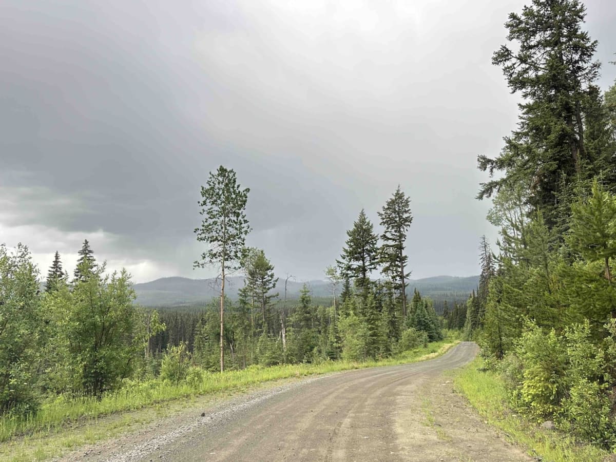 Powder Lake Road to Mayson Lake Horse Camp photo 3