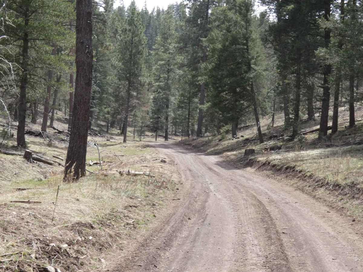 Long Canyon to Board Canyon (FS271) photo 3