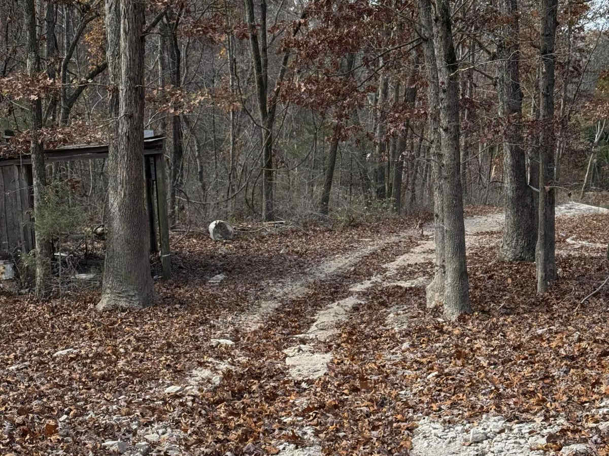 Maple Trail photo 3