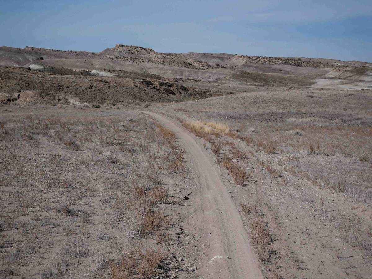 Fast Trail photo 6