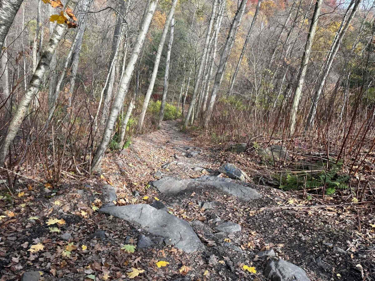 Ashland 147 photo 2