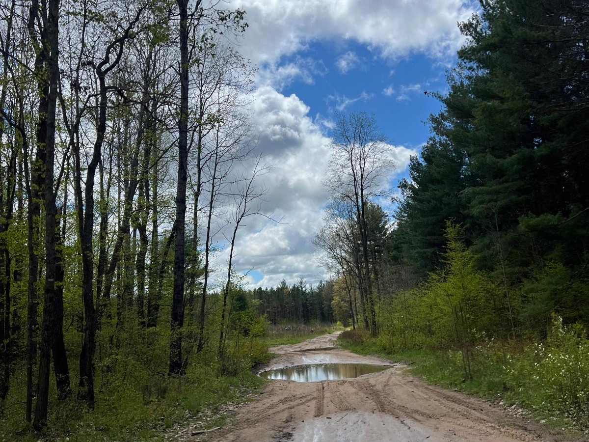 High Rollway River Loop Trail photo 6