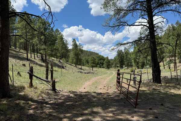 Scales Canyon