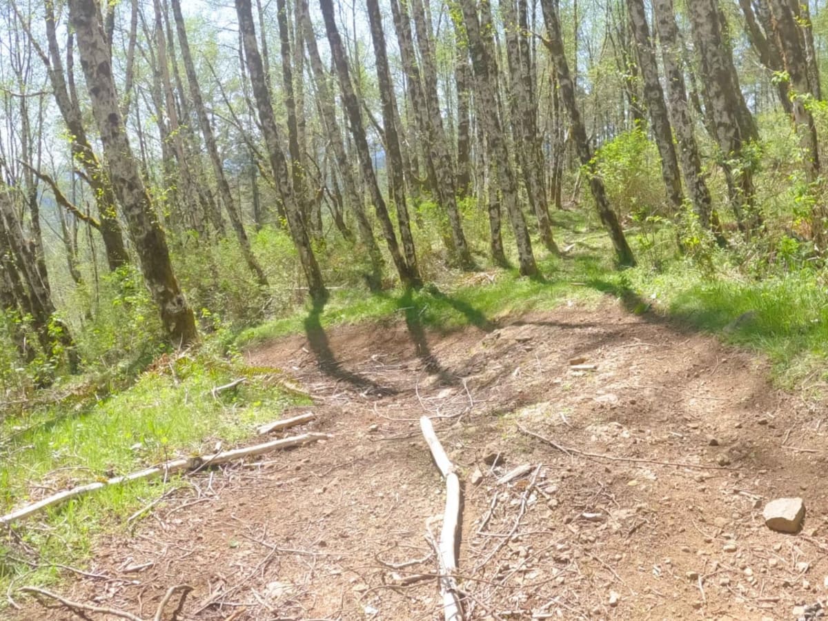 Zig Zag Trail photo 4