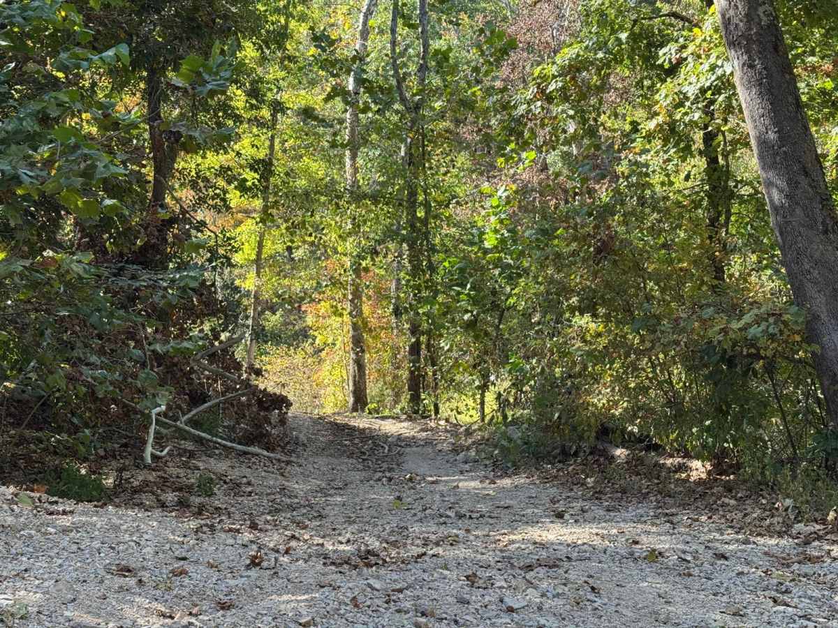 Crawler Alley 23 trail photo