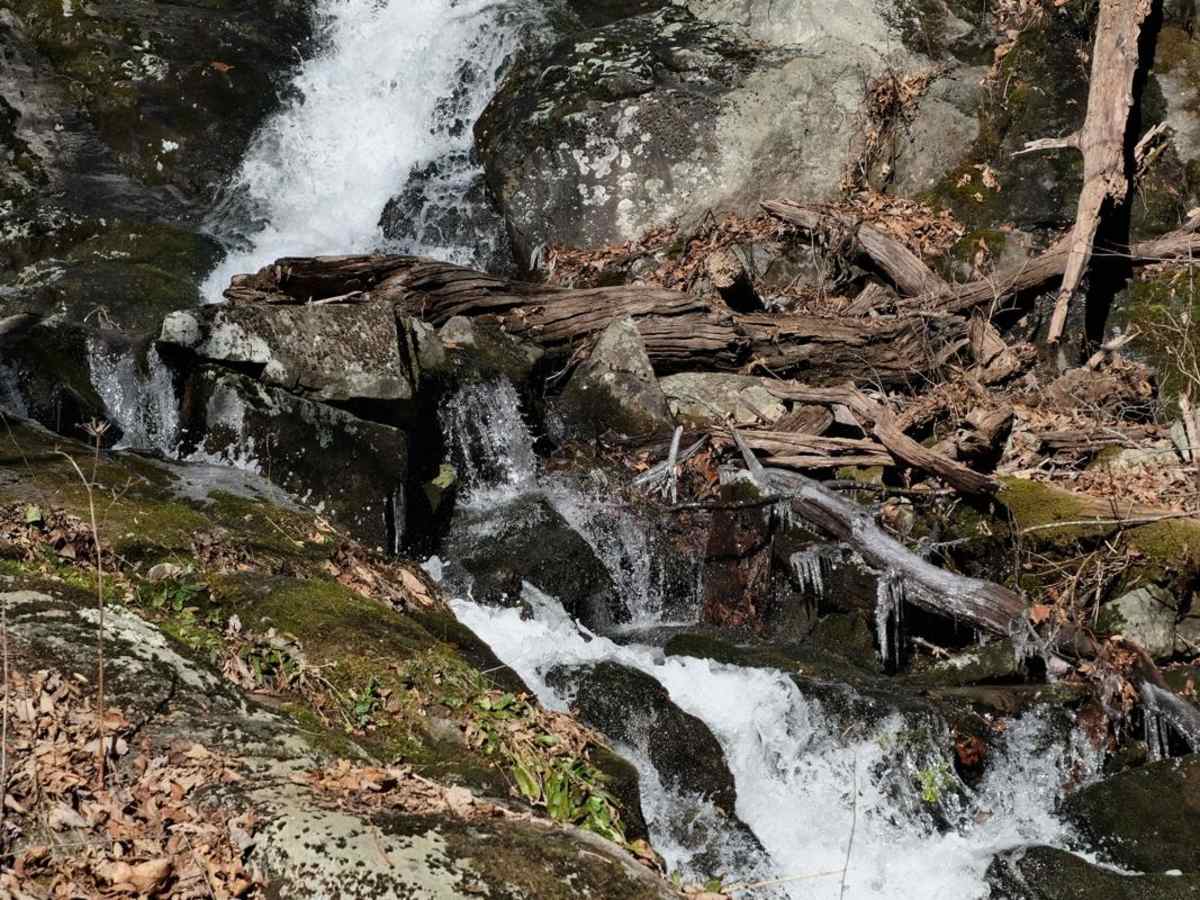 Overstreet Creek photo 2