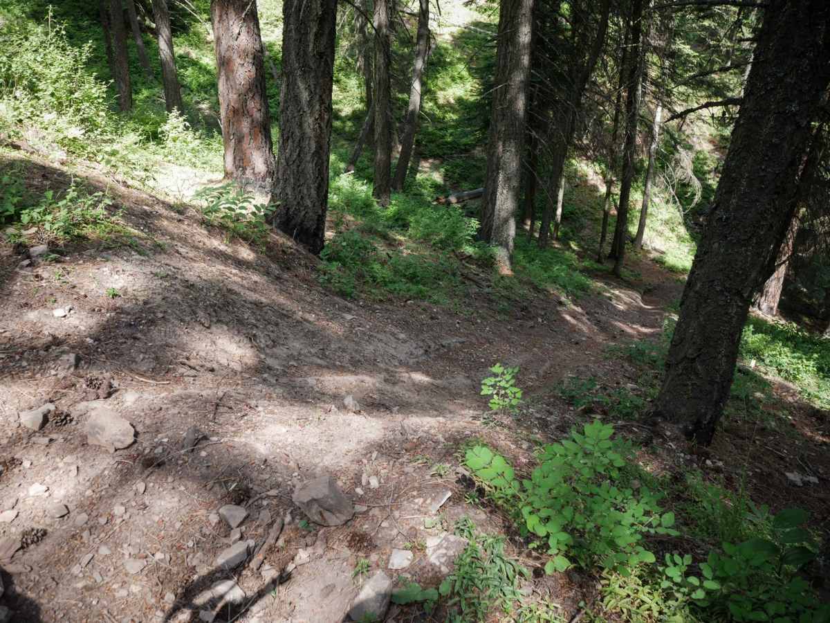 Canfield Mountain - Trail A (West) photo 3