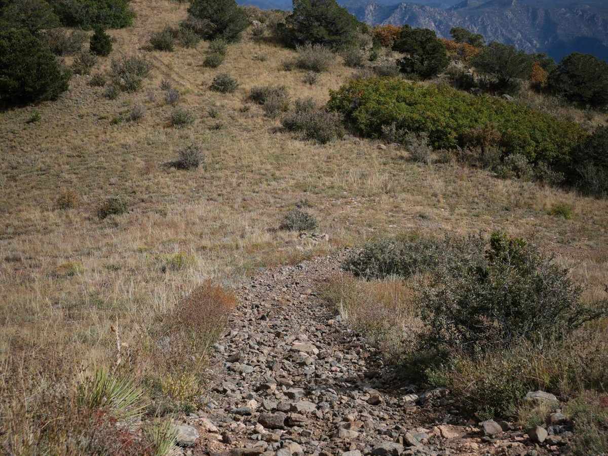 6061A ATV photo 6
