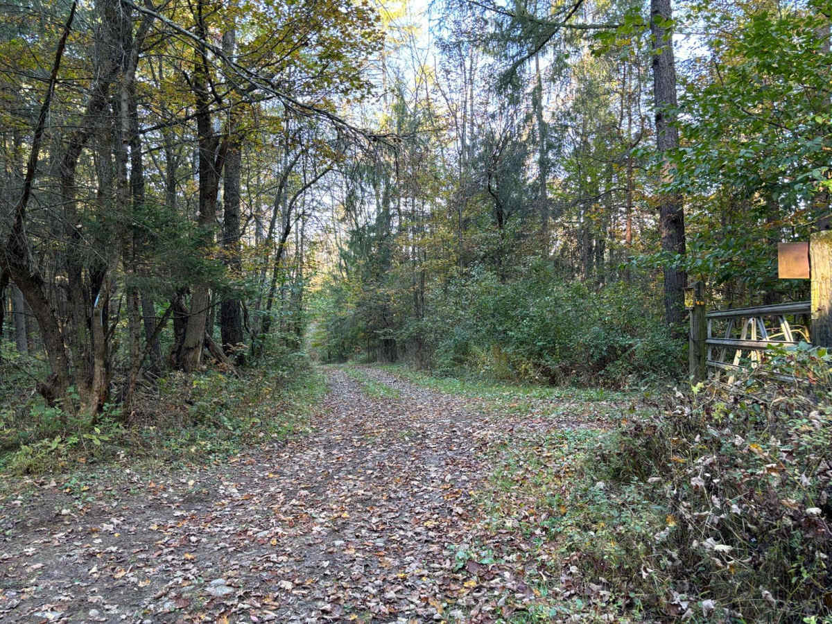 Cuyler Hill PFAR photo 3
