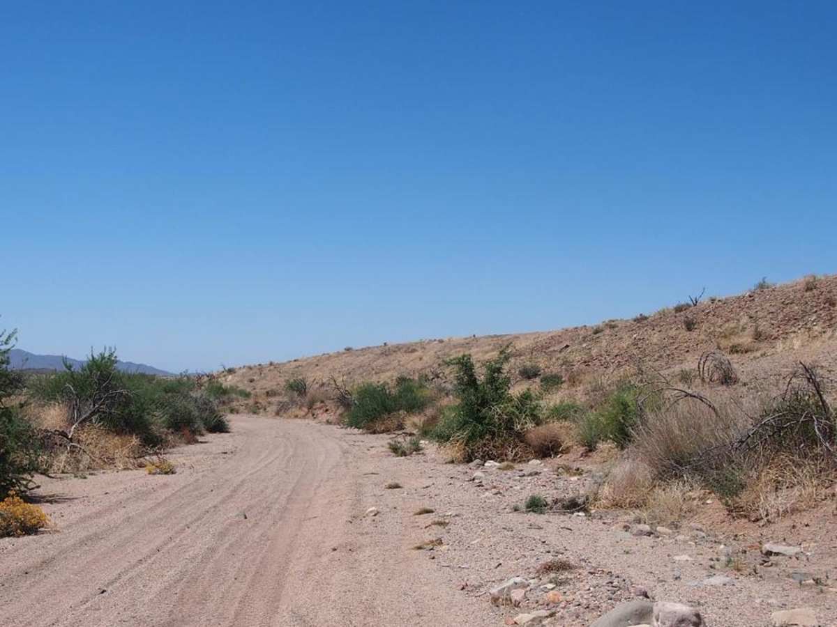 Beeline Bypass photo 6