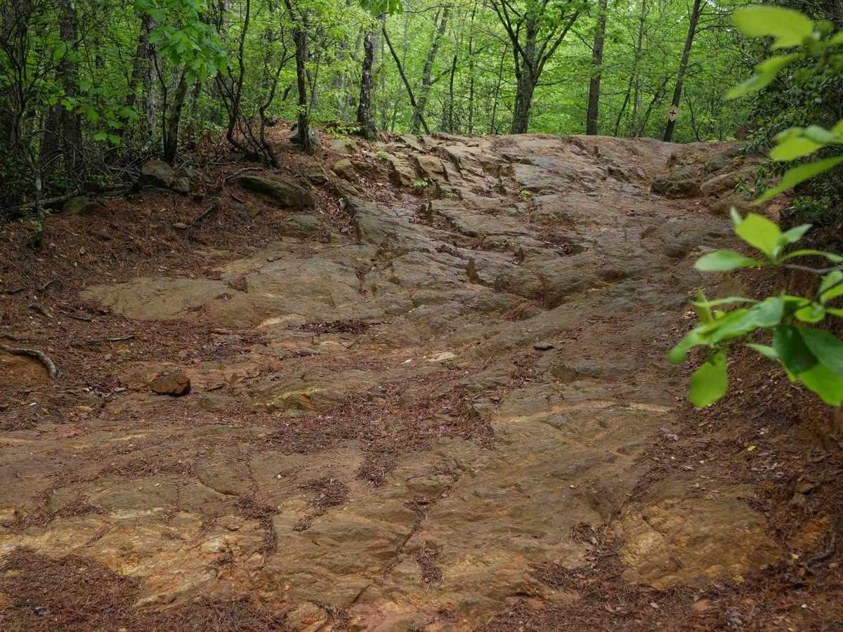 Smiley trail photo