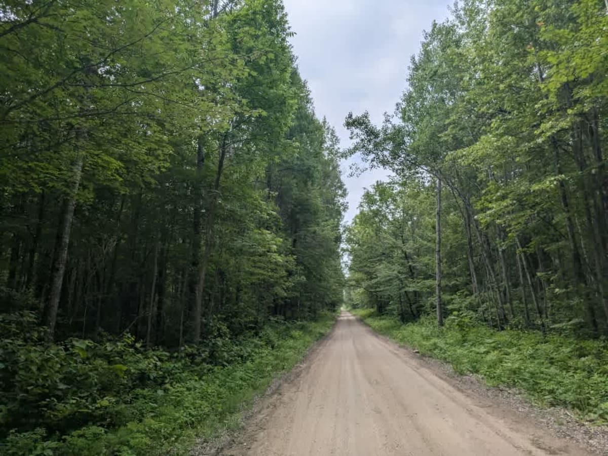 Pennington Truck Trail photo 2