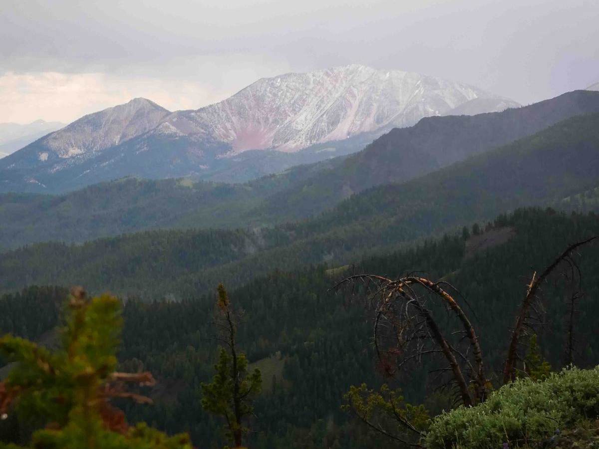 Trail Creek photo 6