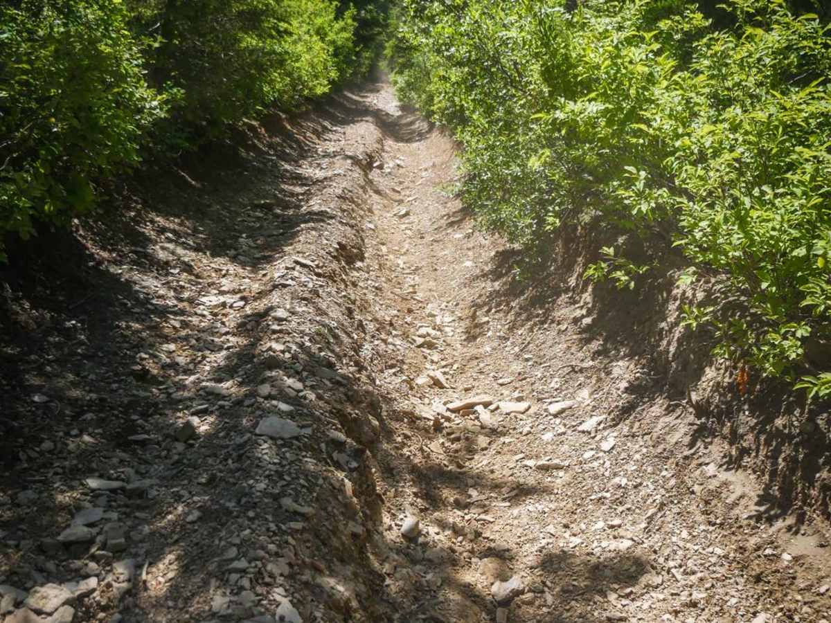 Dam Ridge ATV photo 2