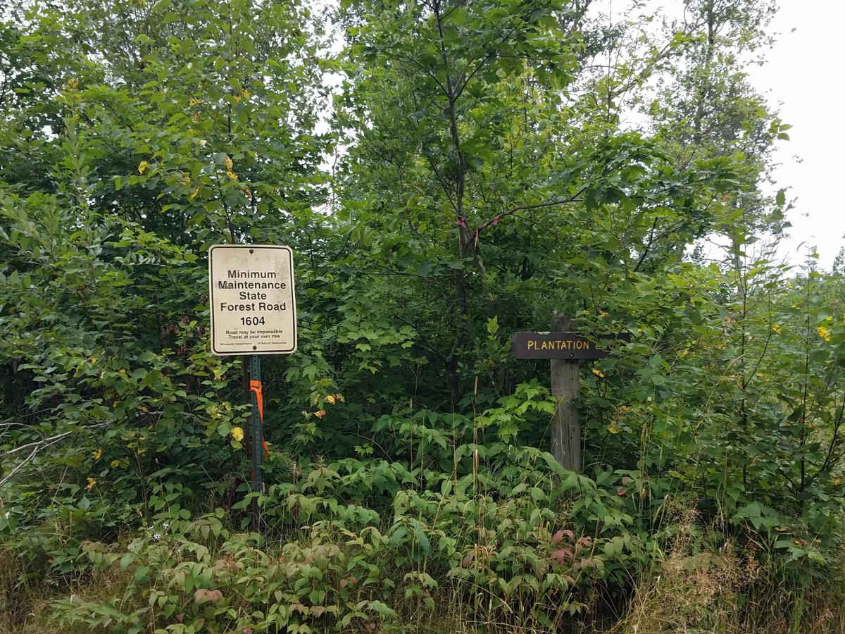 Plantation Loop photo 6