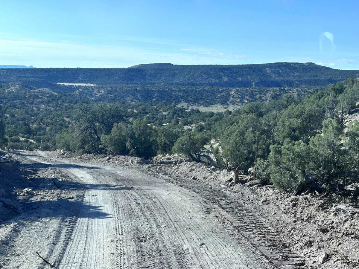 Verde South Trail photo 3
