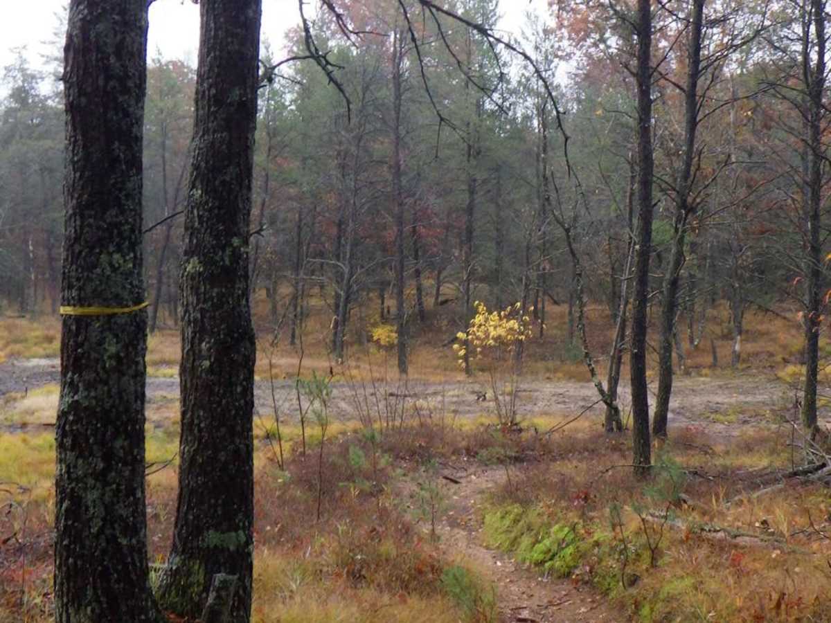 MCCCT M-37 to Little Manistee photo 2