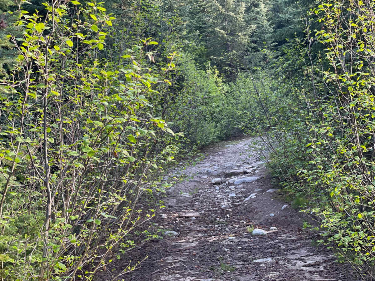 Lucky Creek Road photo 3