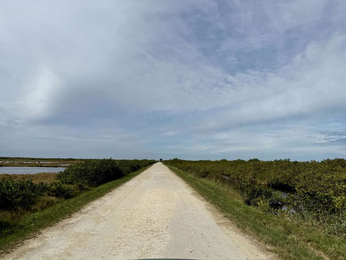 Biolab Road photo 4