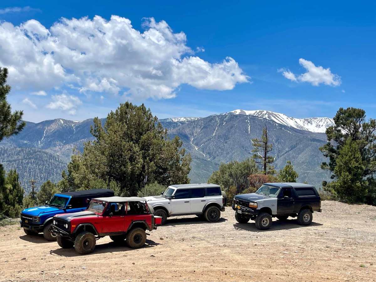 Wildhorse Meadow - 2N93 trail photo