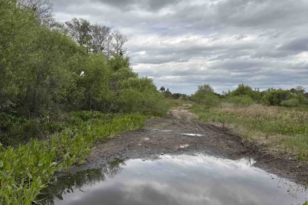 Boundary Trail