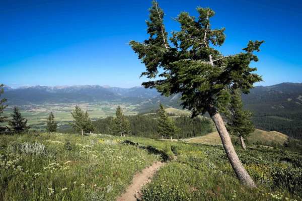 Rocky Peak