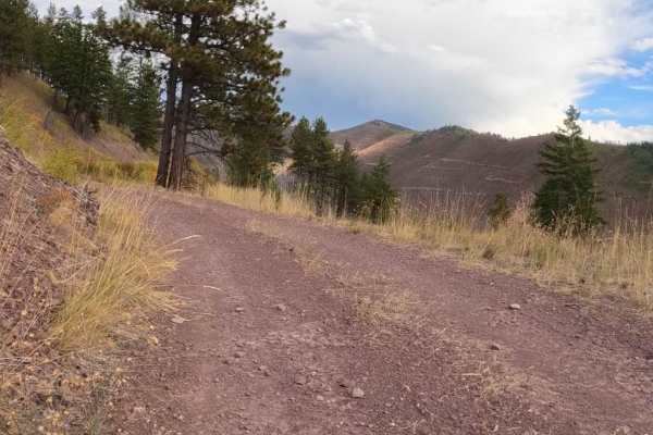 Second Creek 283 - East Fork Johnson 7882