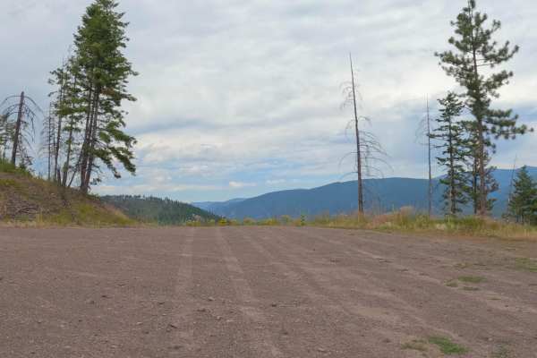 Cougar Creek Loop