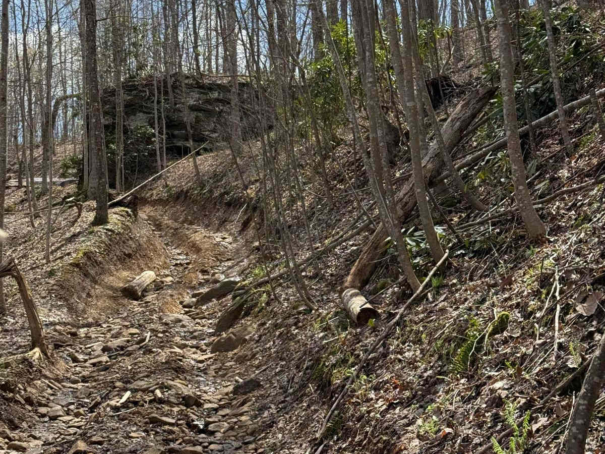 Trail 6 photo 6