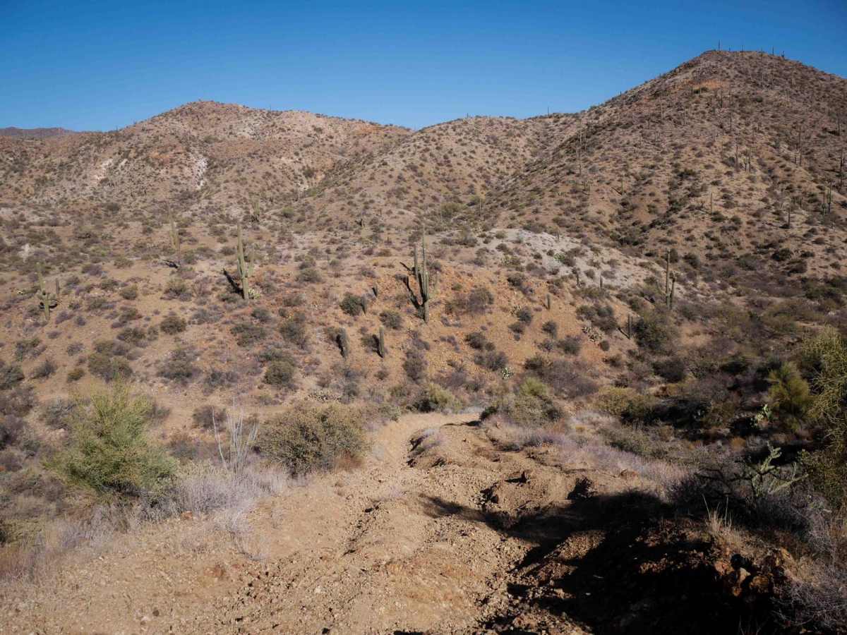 Garfias Connector trail photo