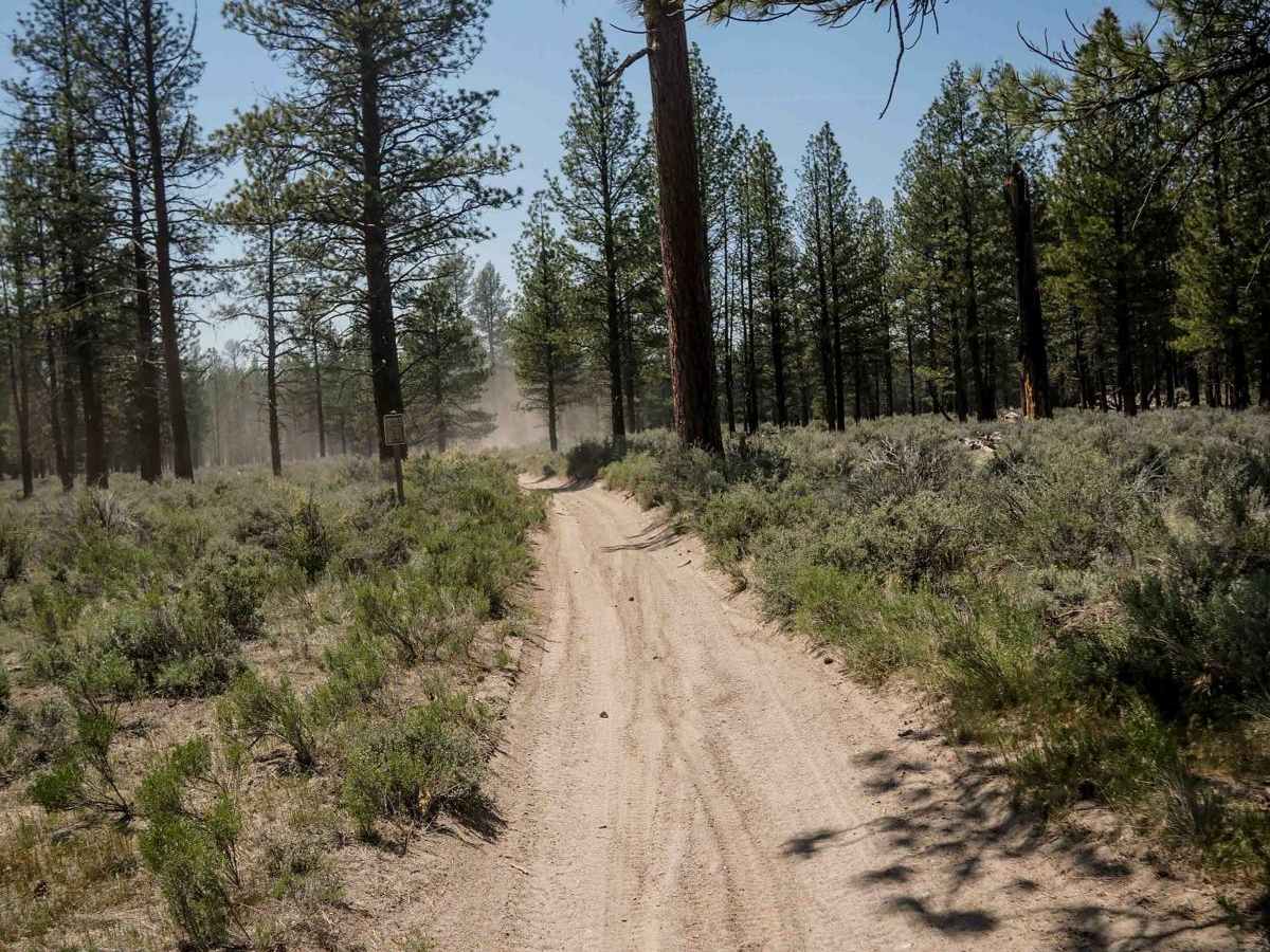 4 trail photo